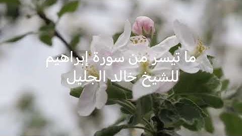 ما تيسر من سورة إبراهيم للشيخ خالد الجليل