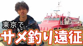 東京サメ釣り遠征！打ち込みしたら何が釣れるの？！【東京釣り遠征　前編】