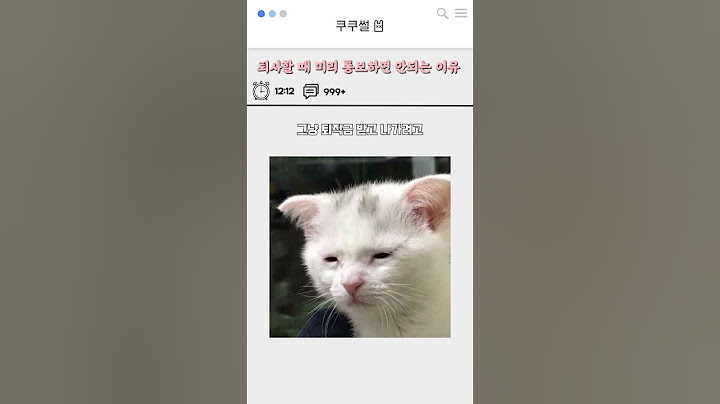 퇴사할 때 미리통보하면 안되는 이유  #썰 #고민