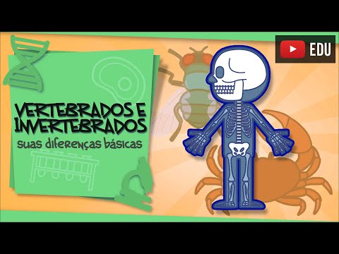 Vídeo: Diferença Entre Vertebrados E Invertebrados