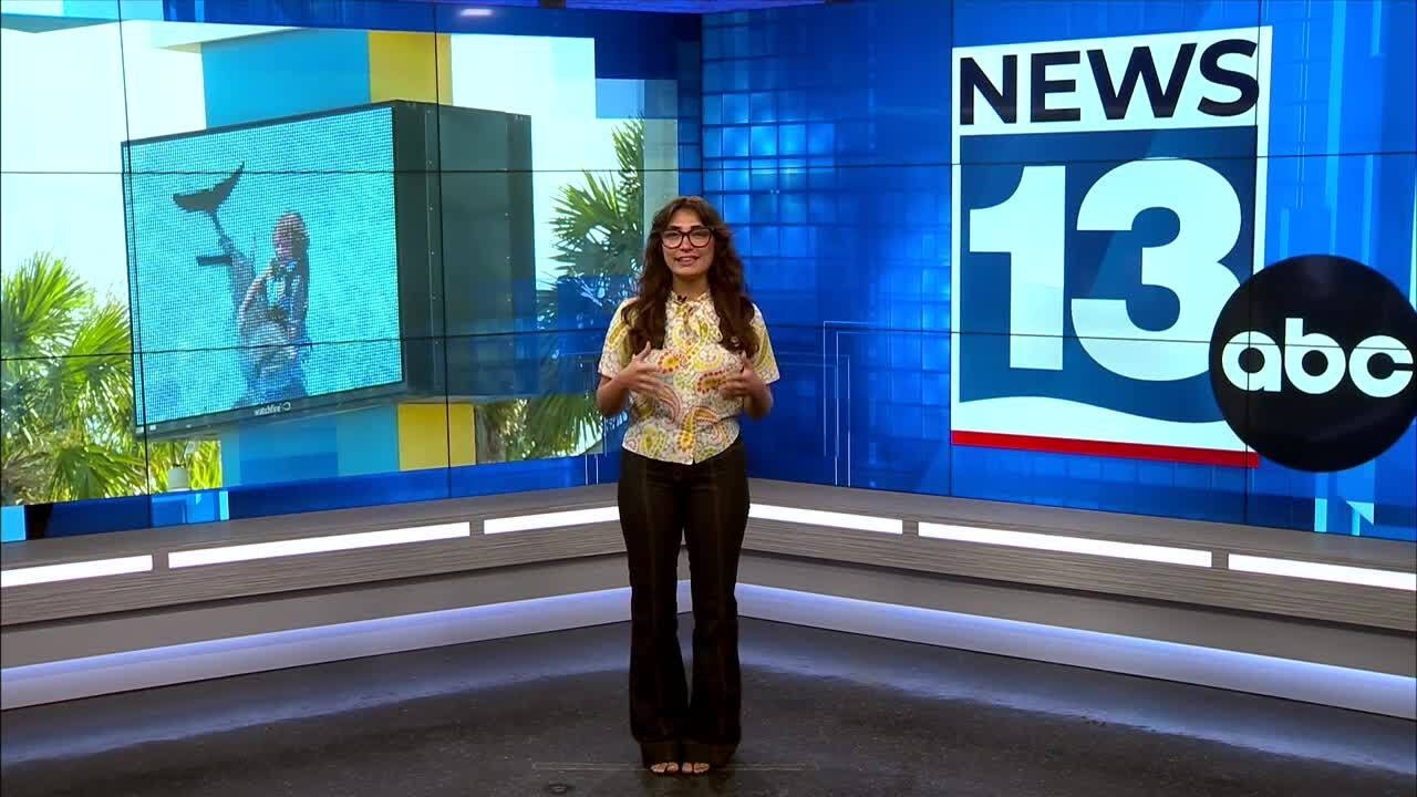 Local resort company submits $3.3 million bid for Gulf World Marine Park property