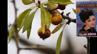 Sultan Aridoğan Sevgi Kız