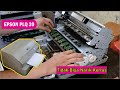 Printer Epson PLQ20 tidak bisa narik kertas