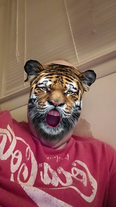 I'm A Tiger🐅🐯