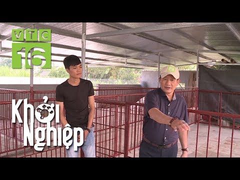20 tuổi chi 160 triệu xây chuồng nuôi lợn rừng | Khởi nghiệp 591 | VTC16