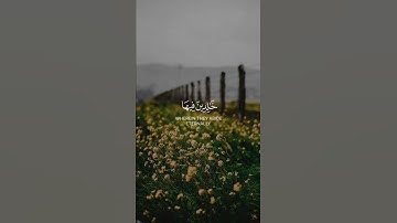 قُل لَّوْ كَانَ الْبَحْرُ مِدَادًا لِّكَلِمَاتِ رَبِّي » سورة الكهف #العجمي_الغامدي_المعيقلي_الشريم