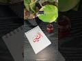 55/99Asmaulhusna Al-Mateen arabic calligraphy tutorial#trending #artist #arabiccalligraphy #ytshorts