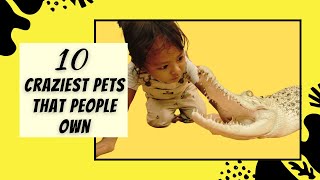 10 Craziest Pets That People Own by TOP BEST PETs 34 views 2 years ago 9 minutes, 8 seconds