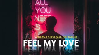 Lucas U0026 Steve X Dubvision  Feel My Love feat Joe Taylor  S 