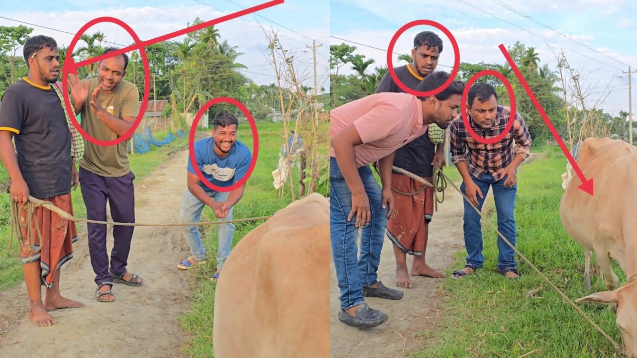 সবাই একই কথা বলে