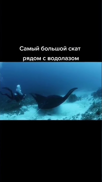 САМЫЕ БОЛЬШИЕ ВЕЩИ В МИРЕ!!! - YouTube