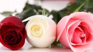 The Rose-Westlife With Lyrics