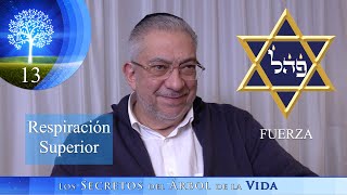 Kabbalah: Los secretos del árbol de la vida  clase 13