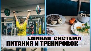 Видео ПИТАНИЕ + ТРЕНИРОВКИ НА МАССУ И СИЛУ l ЕДИНАЯ СИСТЕМА (автор: Артём Сайков)