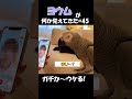 ペットのヨウムが何か覚えてきた#45