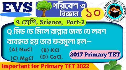 Class 7 EVS for primary TET | Science Part -2 | Let