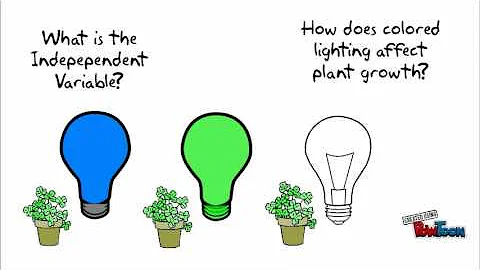 Scientific Method, Part 2