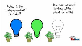 Scientific Method, Part 2