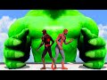 Spider-Man SMASHED by Hulk | Spiderman Avengers Power Hero