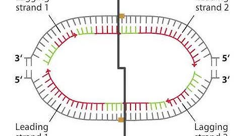 Bi directional replication