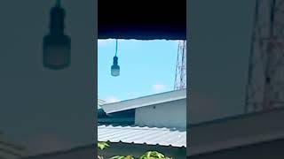 ketika lagu menyeramkan ini dijadikan barang benda di rumah 😱