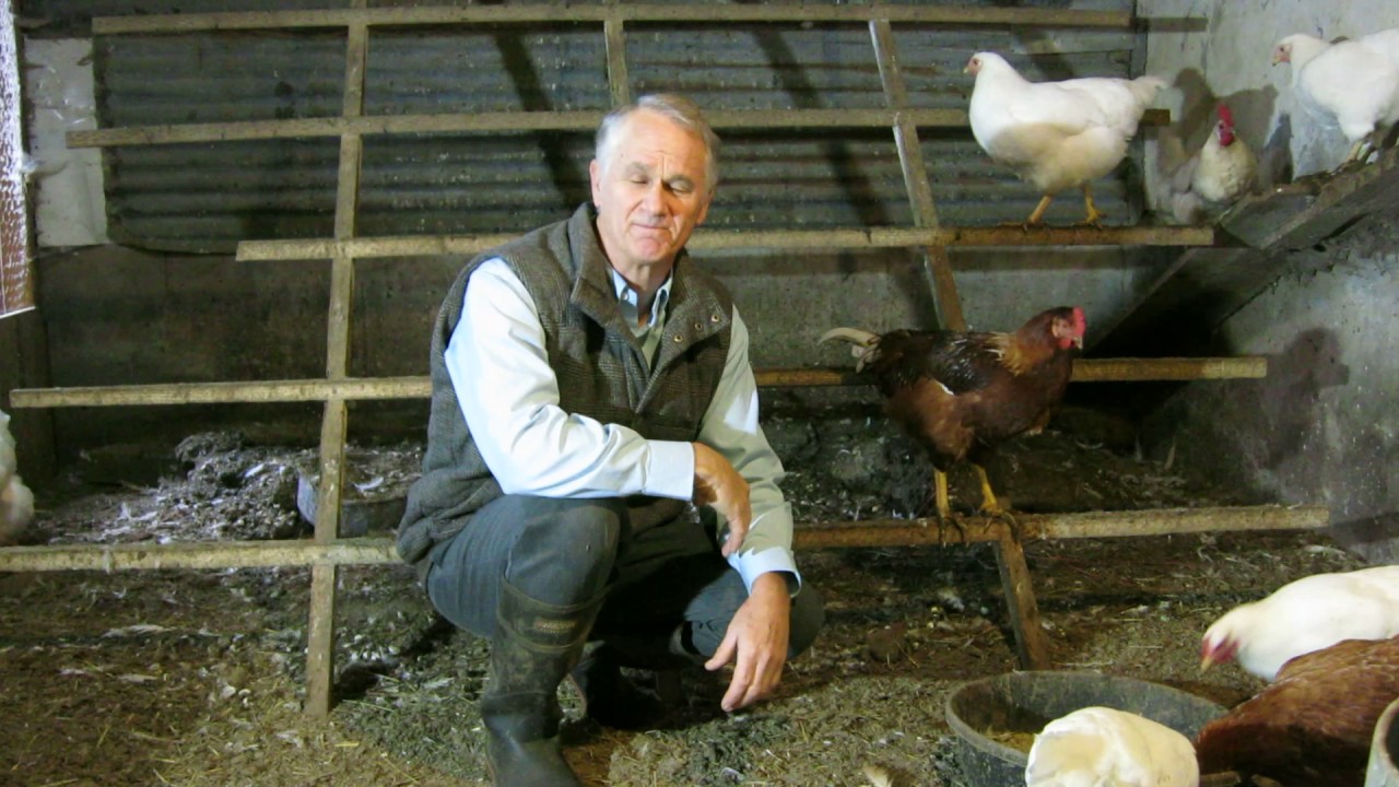 Hello From Chris Kelsey Realtor, Keller Williams YouTube