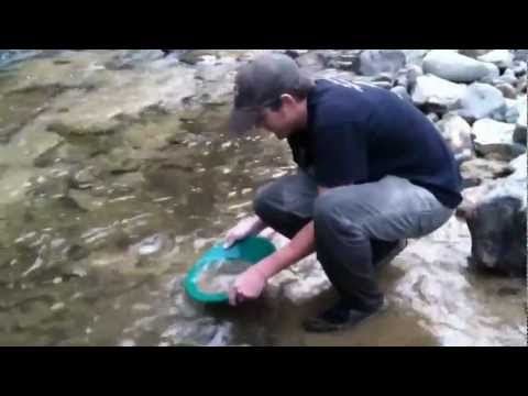 Running Dual River Sluices And Finding Gold! Summit Mining & Equipment Keene