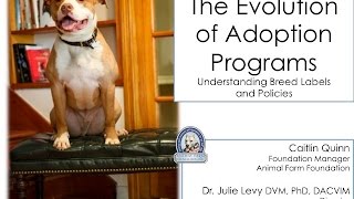 Evolution of Adoption Programs, Part 1: Taking Breed Out of the Equation - conference recording