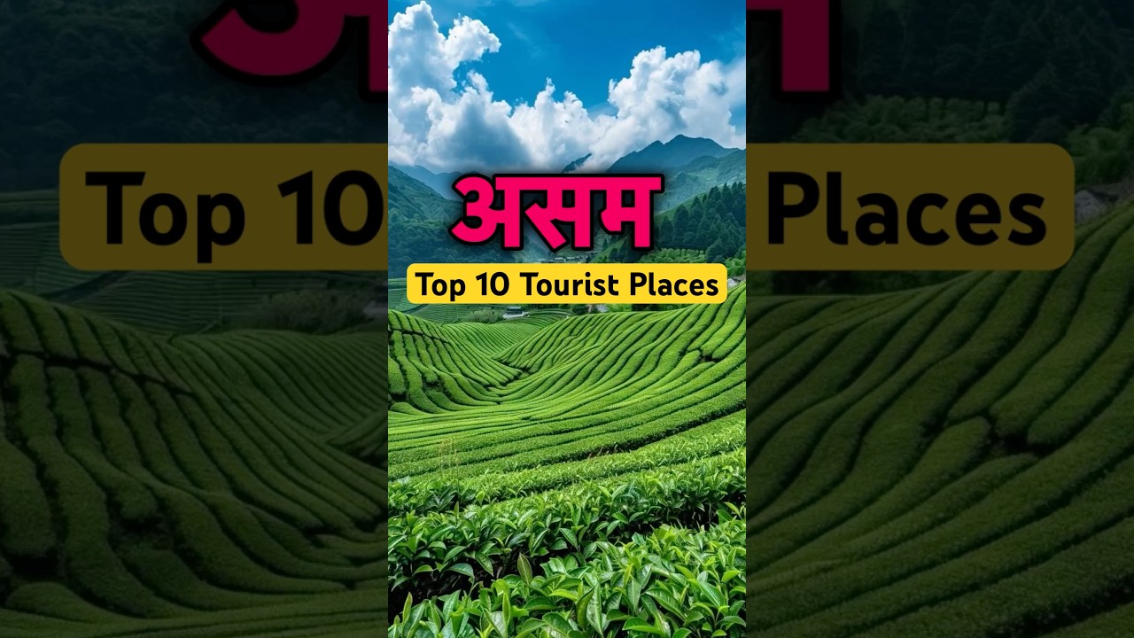 Assam Top 10 Tourist Places | Assam Tourist Places #assam #assamtourism #touristplace