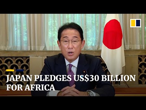 Japan pledges US$30 billion of aid and investment for Africa to counter Chinese influence