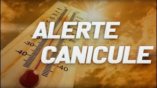 Special Weather Report – Heatwave in Algeria: 49°C in 12 provinces screenshot 5