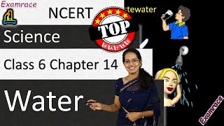 NCERT Class 6 Science Chapter 14: Water (NSO/NSTSE/Olympiad) | English | doorsteptutor.com