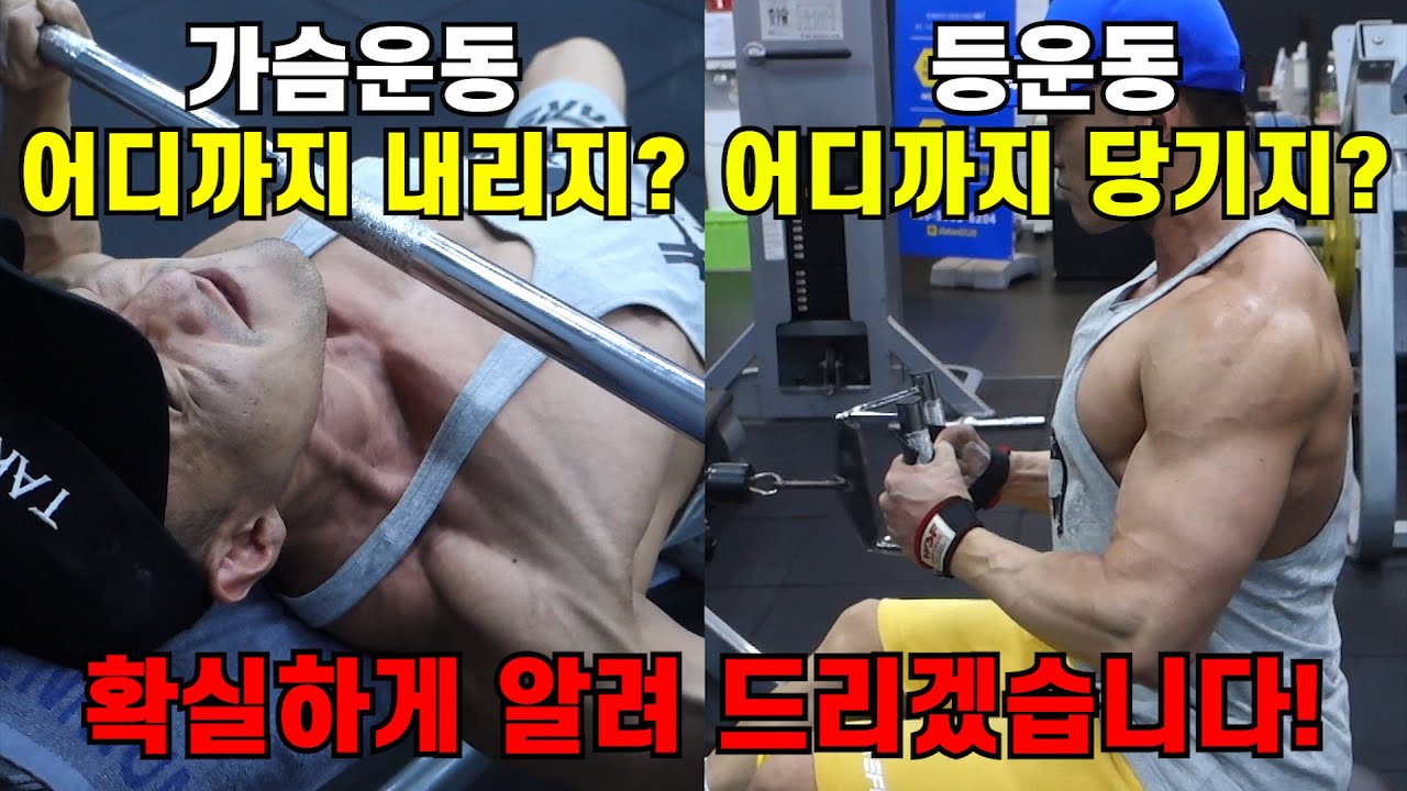 (가슴운동,등운동)완벽한 가동범위를 알려드립니다