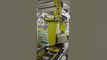 Gantry Robot Arm for Industrial Automation#automation #linearmotion #linearacutator #linearrail