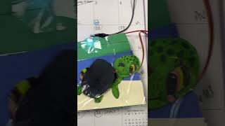 Dude, fin, noggin… @MicrosoftEDU @MicrosoftMakeCode M:B #findingnemo