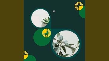 Scintillating Ambience for Daily Walks