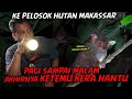 INILAH MONYET HANTU MATA MELOTOT PENGHUNI HUTAN PEDALAMAN SULAWESI