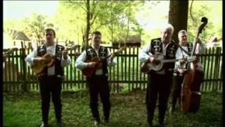 Video thumbnail of "Bosutski Bečari - Dadino špencle"