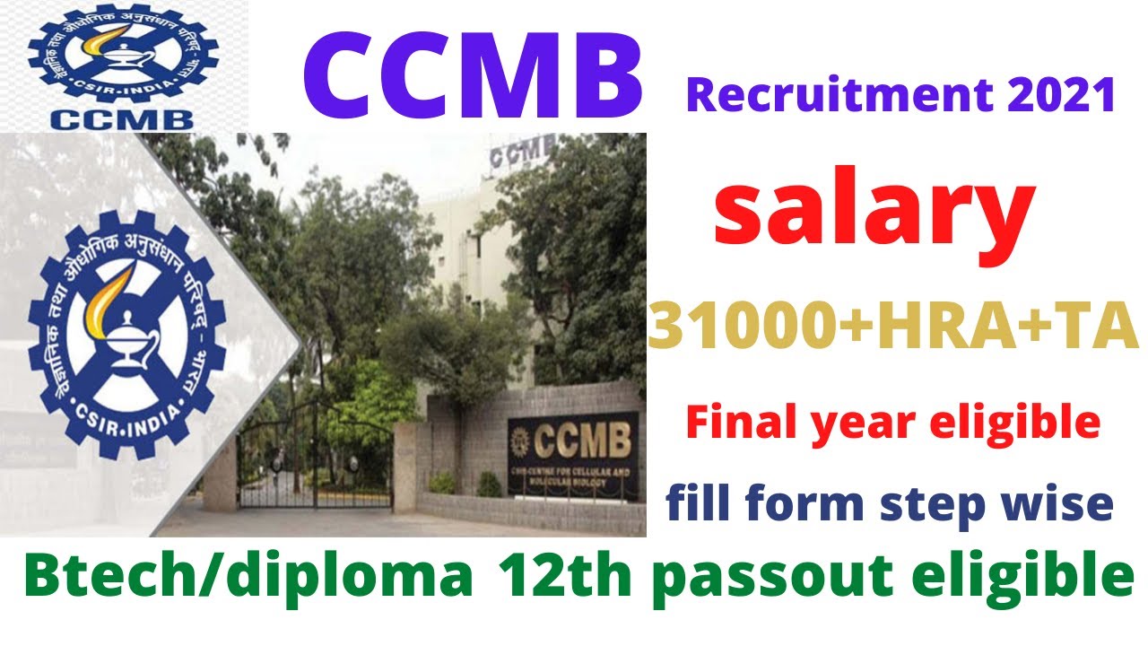 CCMB Recruitment 2021 Hiring || 12th passout || btech /diploma final year ||btech /diploma passout