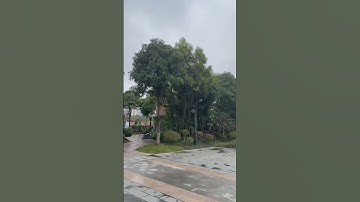 1 góc nhìn Ga tàu cao tốc Nam Ninh, Trung Quốc 난닝 고속 기차역, 중국