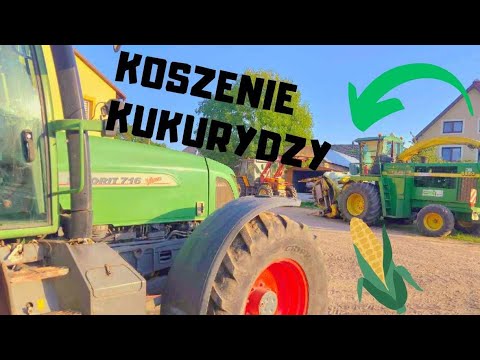 Oporowe koszenie kukurydzy