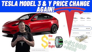 Tesla Changes 2021 Model 3 &amp; Y Price Again! How Much Does it Cost Now?