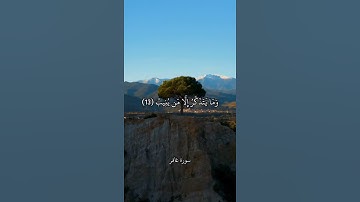 هُوَ الَّذِي يُرِيكُمْ آيَاتِهِ وَيُنَزِّلُ لَكُم مِّنَ السَّمَاءِ رِزْقًا || سورة غافر || علي جابر
