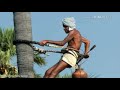 New goud anna song Whatsapp status jai goud anna 2018