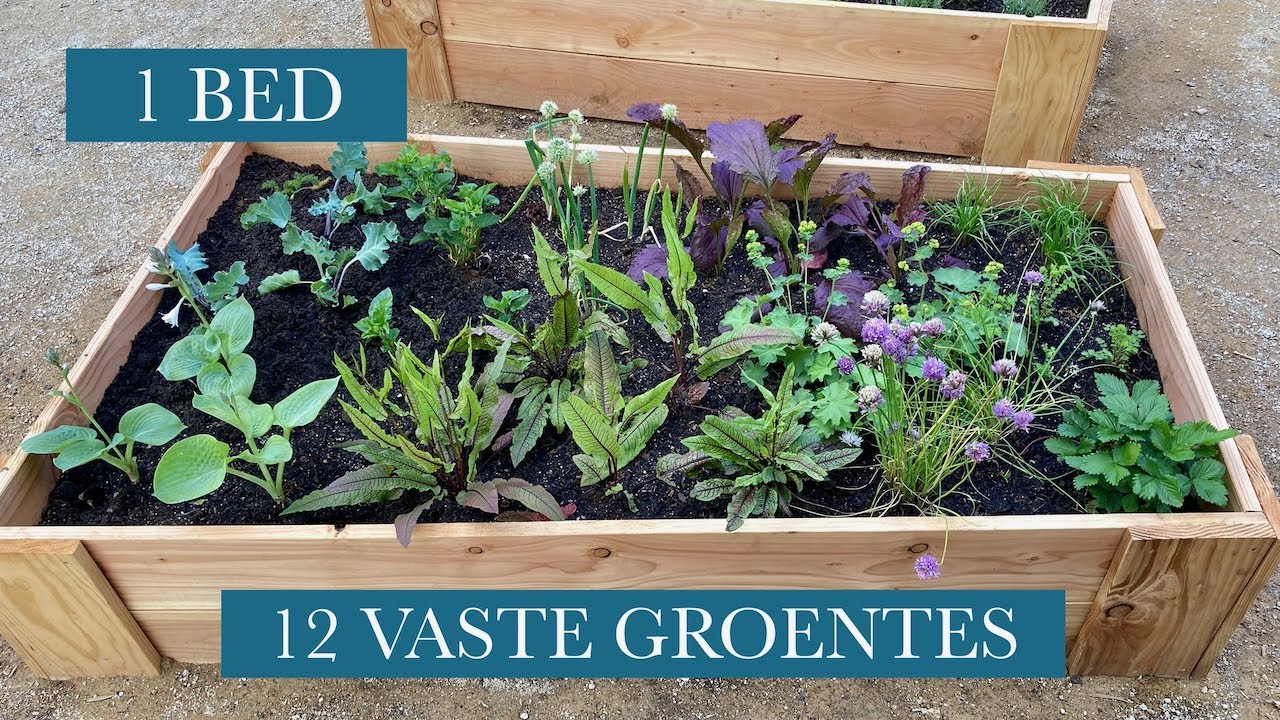 1 bed -12 VASTE GROENTES