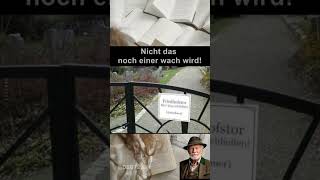 #haha #humor #flachwitz #komisch #funny #shorts #shortvideo #witz #leben #lol #zitate