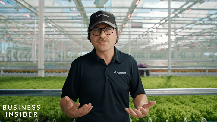 One Of The World’s Largest Indoor Farms Is Using Advanced Tech To Build A More Resilient Food System - DayDayNews