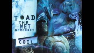 Watch Toad The Wet Sprocket Amnesia video