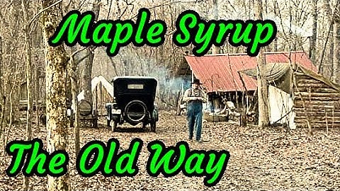 Making Maple Syrup, 1920