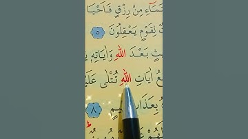 سورة الجاثية الأية 6 إلى 9 بصوت سعد الغامدي